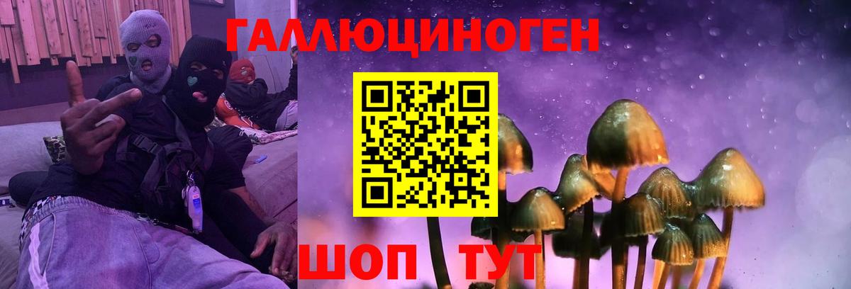 Псилоцибиновые грибы GOLDEN TEACHER Котовск