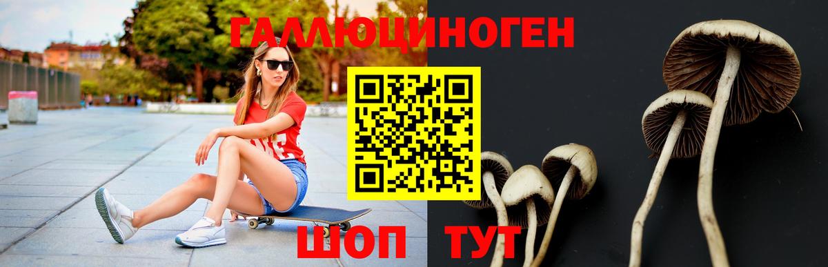 Псилоцибиновые грибы Magic Shrooms  Вход с VPN  Котовск  Галлюциногенные грибы Magic Shrooms 